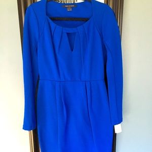New French Connection Royal Blue Dress